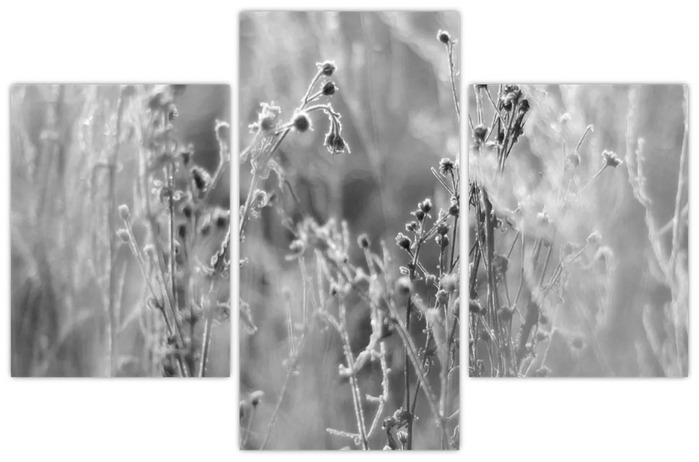 Kép - Wild Meadow (90x60 cm)