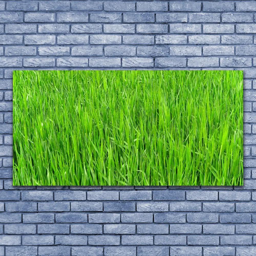 Canvas kép Nature Green Grass Turf 140x70 cm