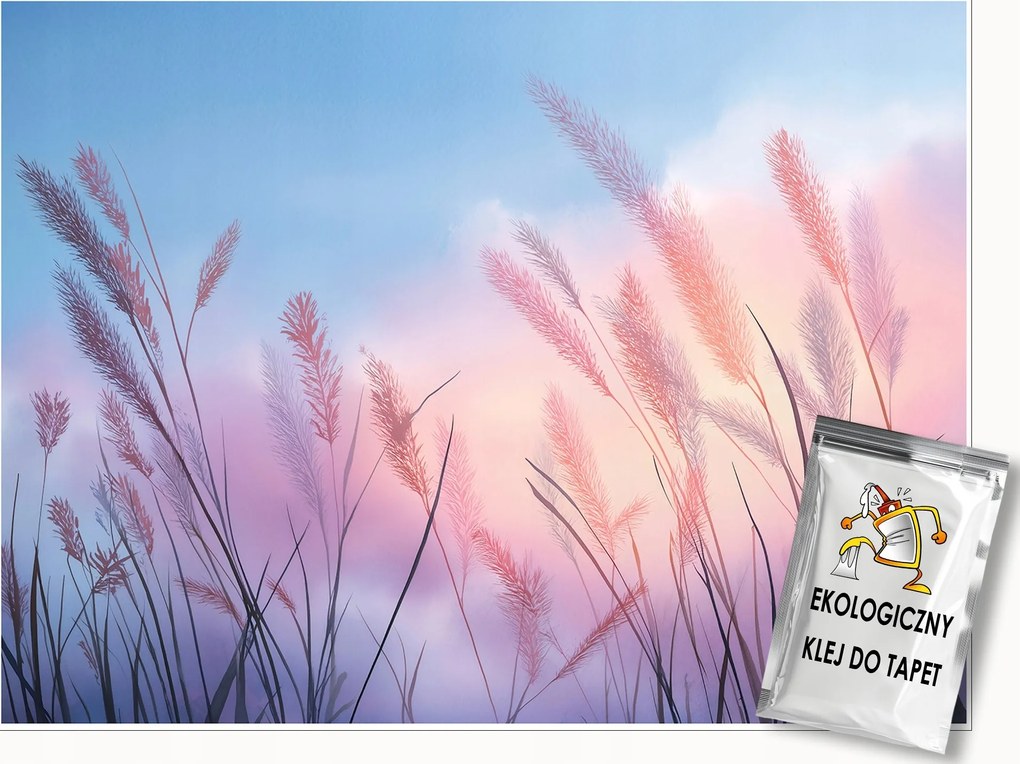 Fotótapéta Pampas Fű Természet Hálószoba Nappali Tapéta Flizelina 300x210