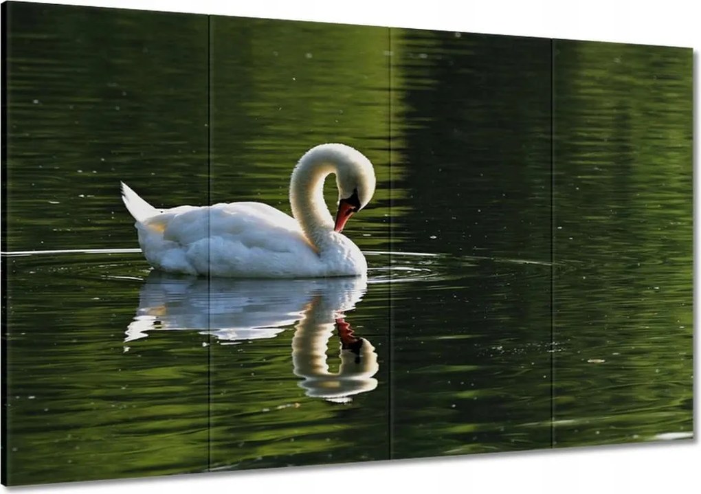 Festmények 120x80 Hattyú