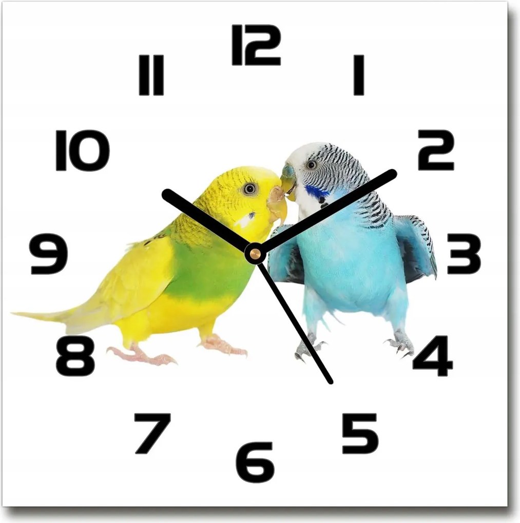 Négyzet alakú üveg falióra Hullámos papagájok 30x30 cm