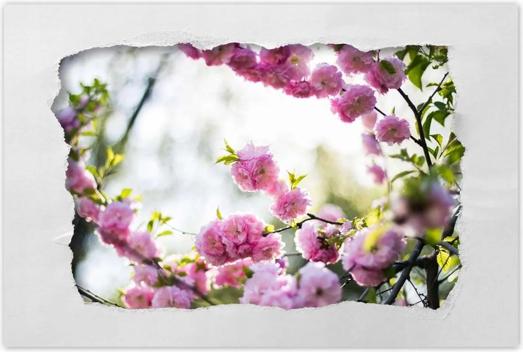 Poszterek 90x60 Rózsaszín virágok Gyönyörű