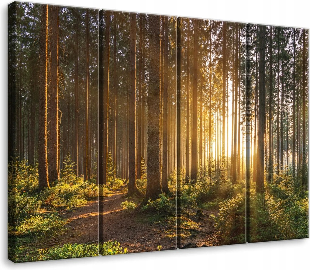 Vászonkép Erdő Természet Kilátás Vászon Fal 4 Részes Hálószoba Nappali 120x100