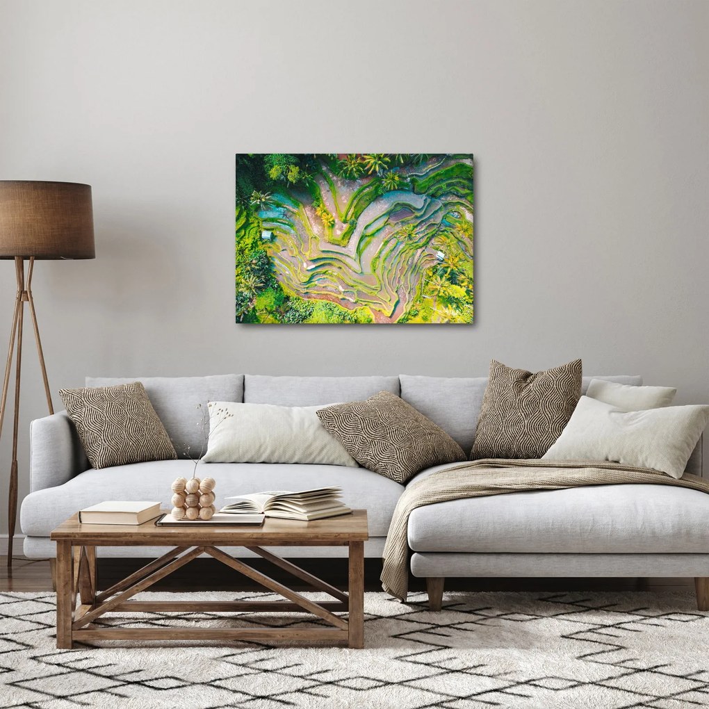 A rizsföldek képe madártávlatból (70x50 cm)