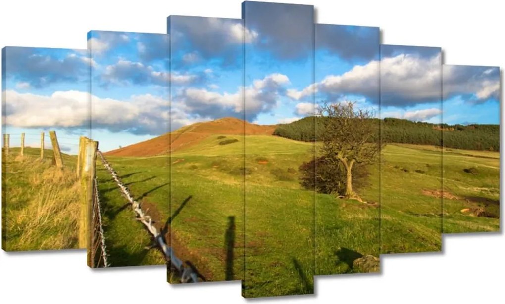 Festmények 140x80 Tájkép réttel