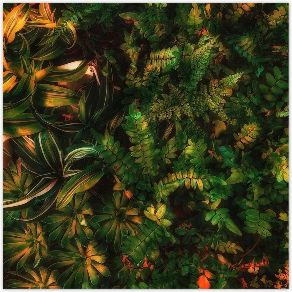 Poszterek 140x140 Trópusi levelek Levelek