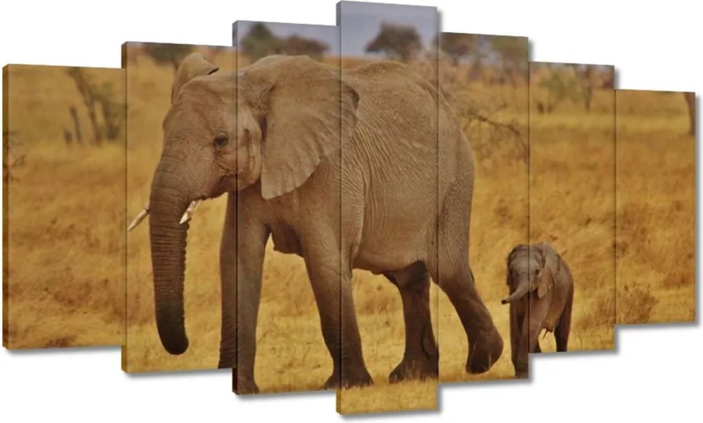 Vászonkép 140x80 Elefánt az anyjával