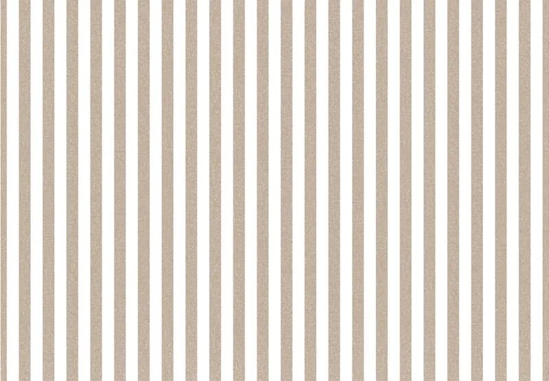 Parato Cristiana Masi Top Stripes Riga 1 barna-fehér csíkos vlies tapéta – 38437