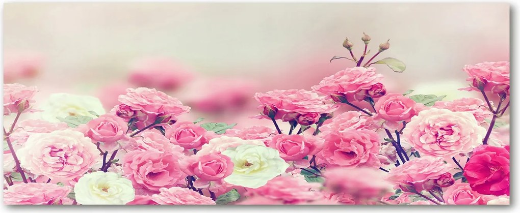 Edzett üveg panel Csipkebogyó virágok XXL