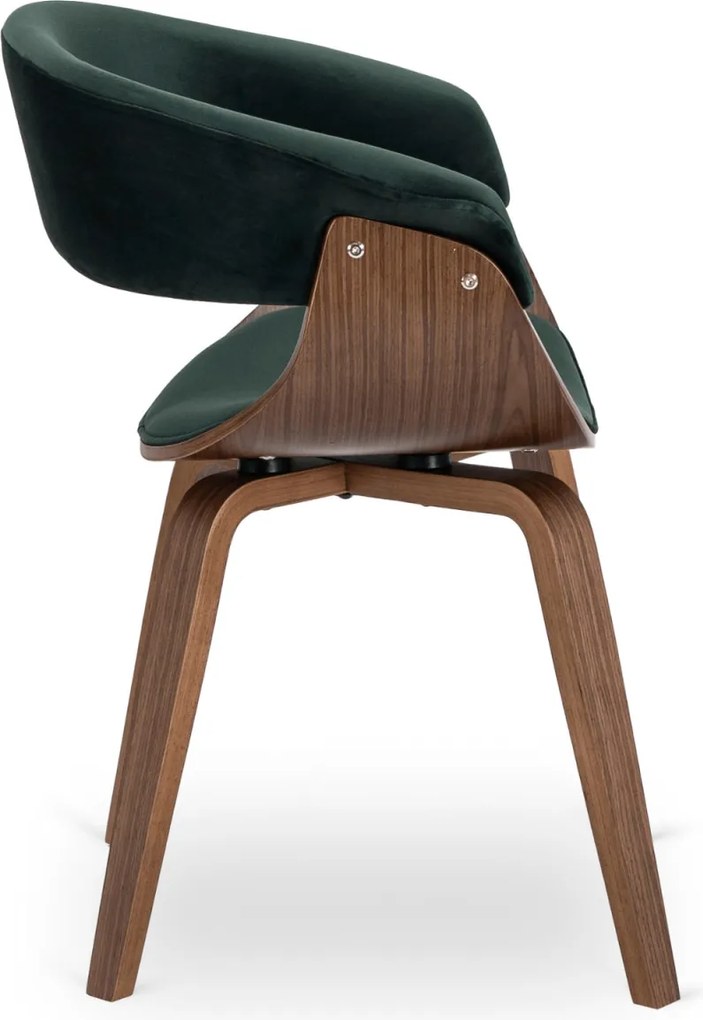 GARY szék, velúr, zöld/dió