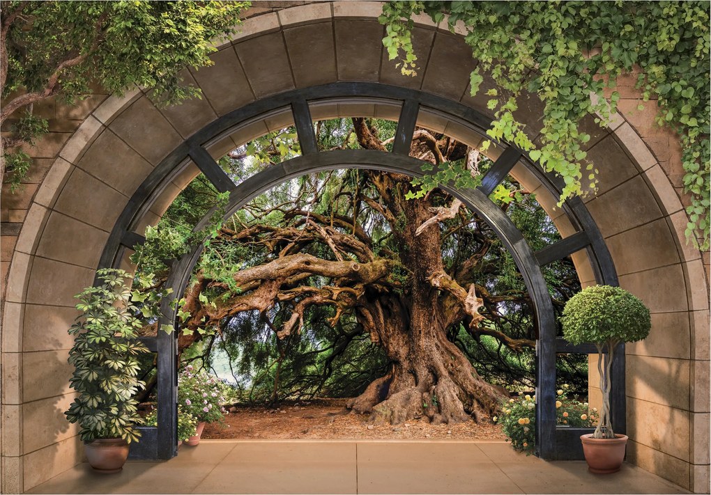 Fotótapéta Ív az erdőben Növények természet hálószoba nappali 250x175 +ragasztó