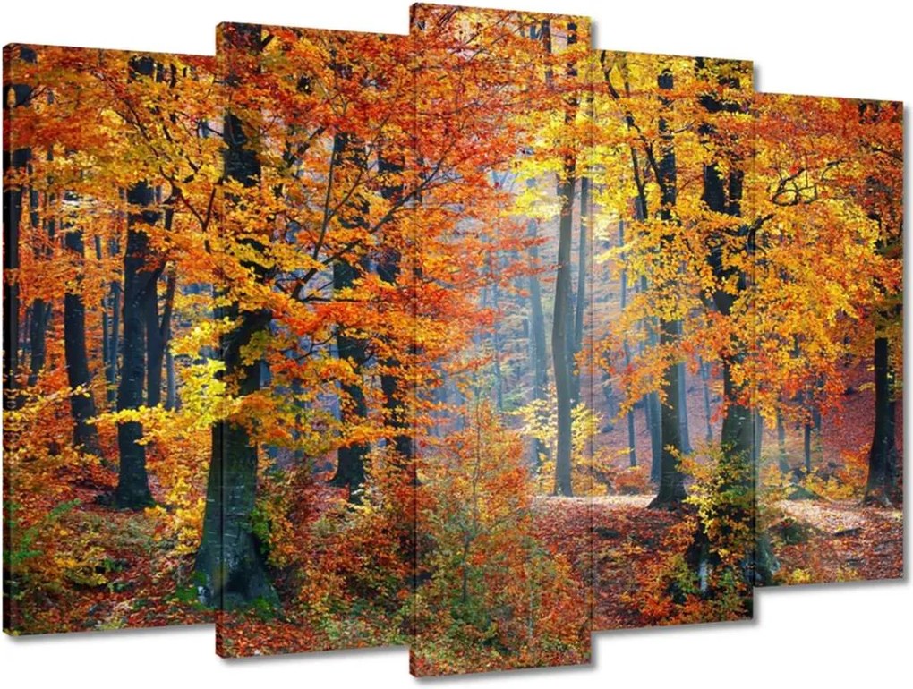 Vászonkép 70x50 Arany ősz