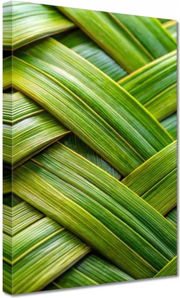 Vászonkép 20x30 Zöld fonott Zöld rattan fonott lemez