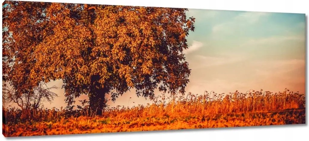 Festmények 100x40 Jessiene színek Tájkép