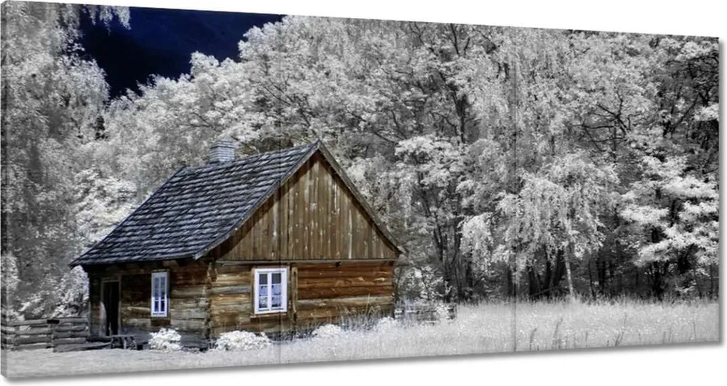 Vászonkép 60x30 Rönkház