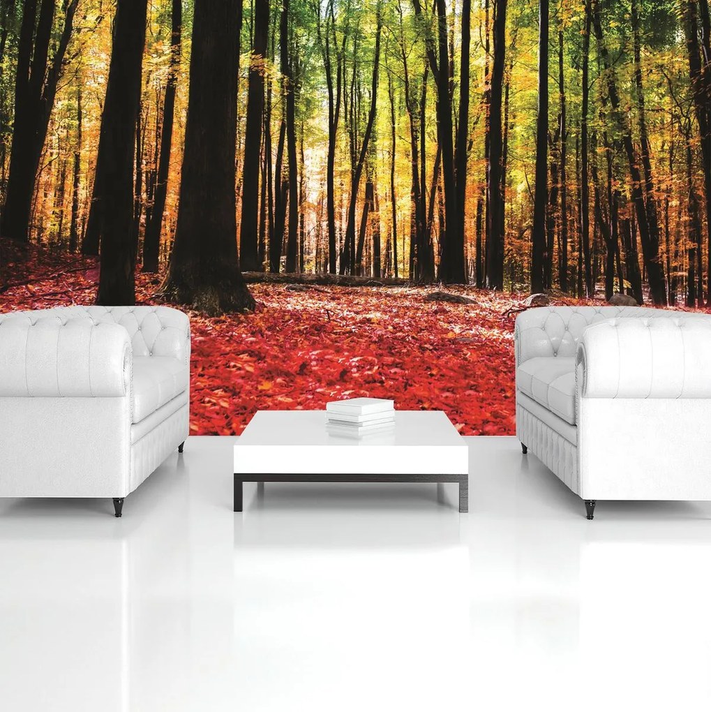 Fotótapéta - (152,5x104 cm)