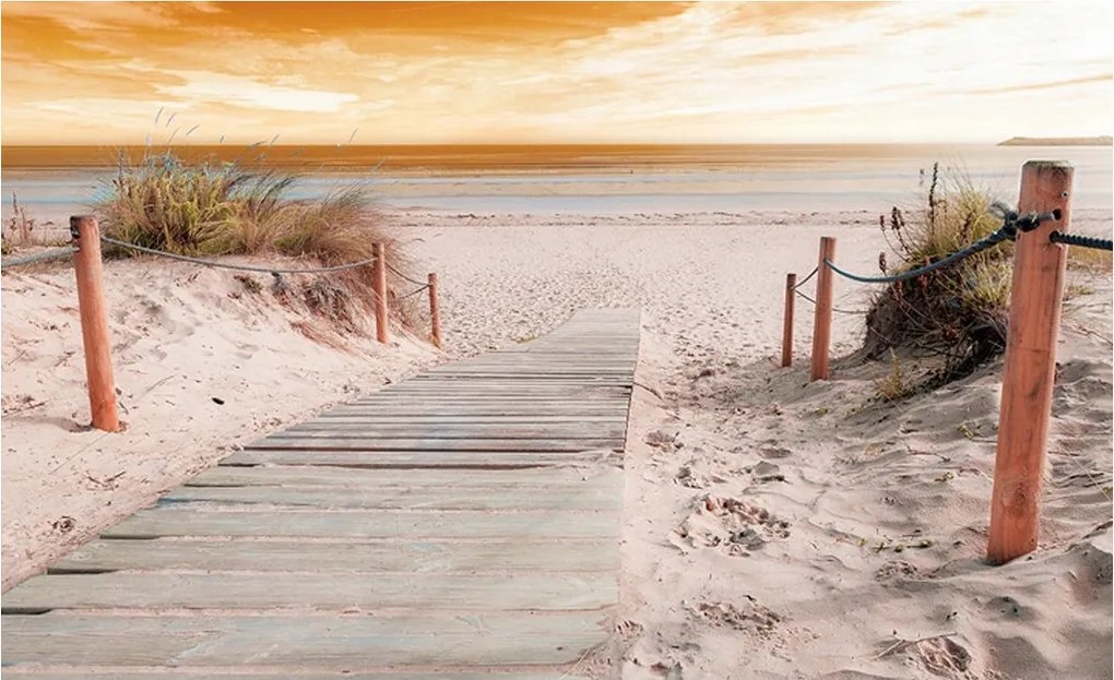 Fotótapéta Naplemente tenger homok fa ösvény vinil 312x219 +ragasztó