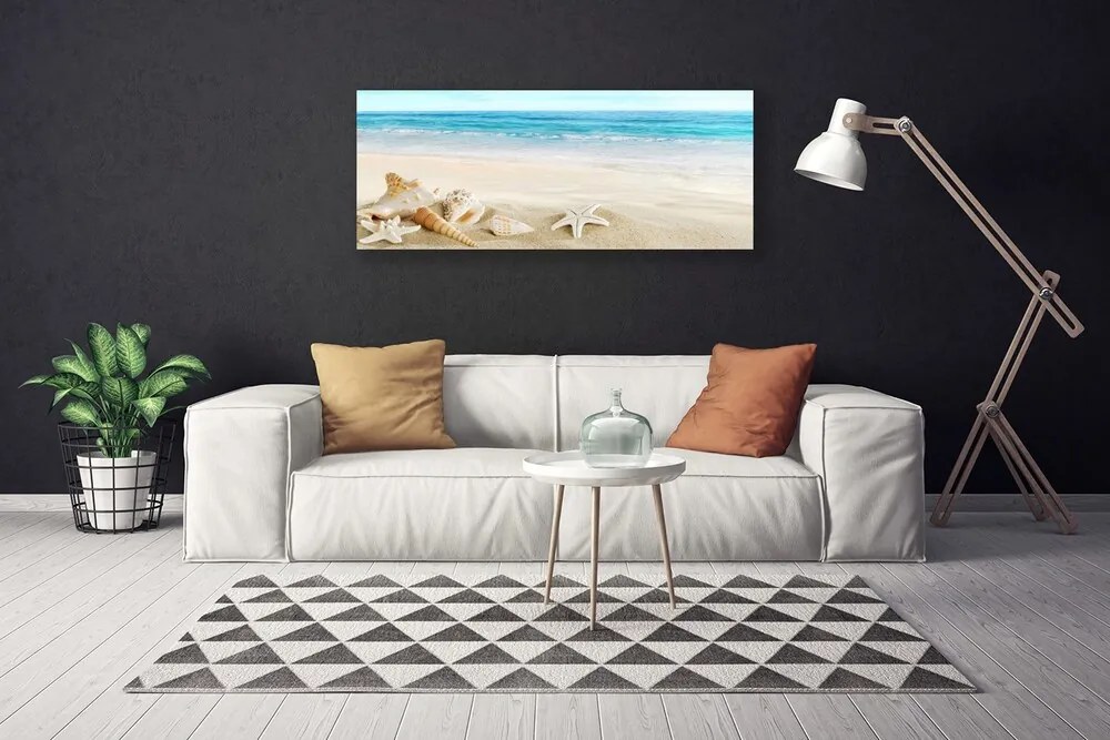 Vászonkép falra tengeri csillag kagyló 140x70 cm