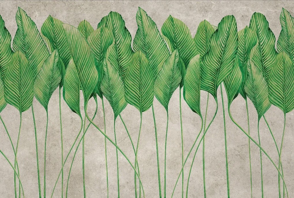 Vinyl flizelin tapéta hálószoba nappaliba sapenza wz1 368x248cm