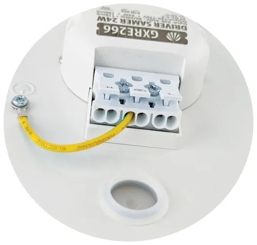 LED Mennyezeti lámpa SAMER LED/24W/230V 4000K