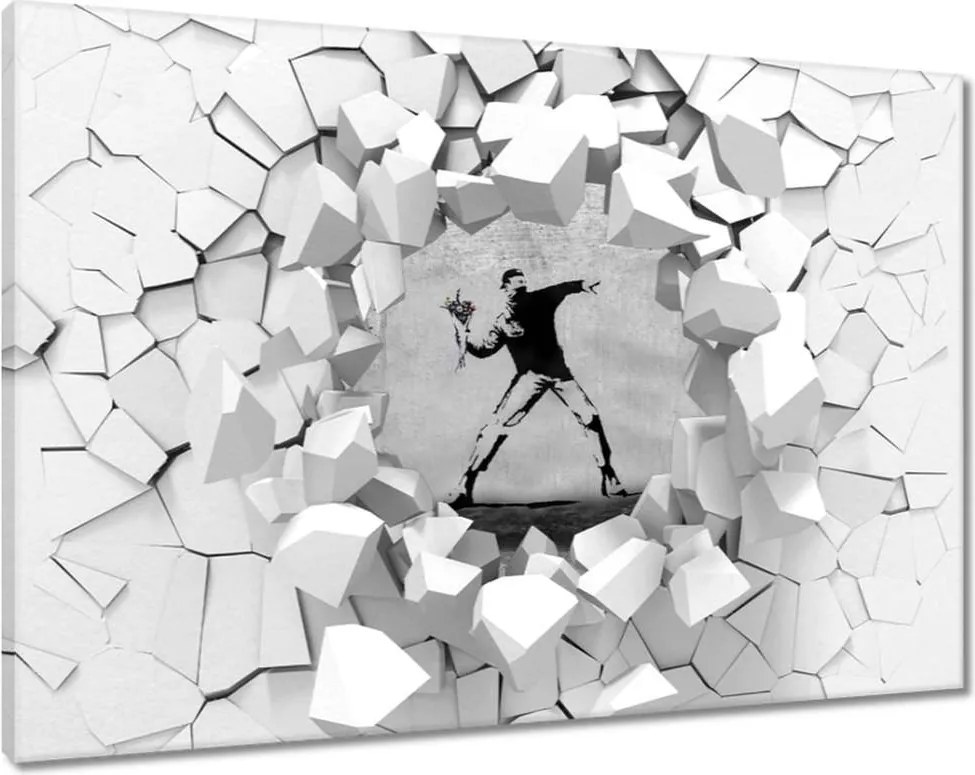 Festmények 120x80 Banksy Virágszóró