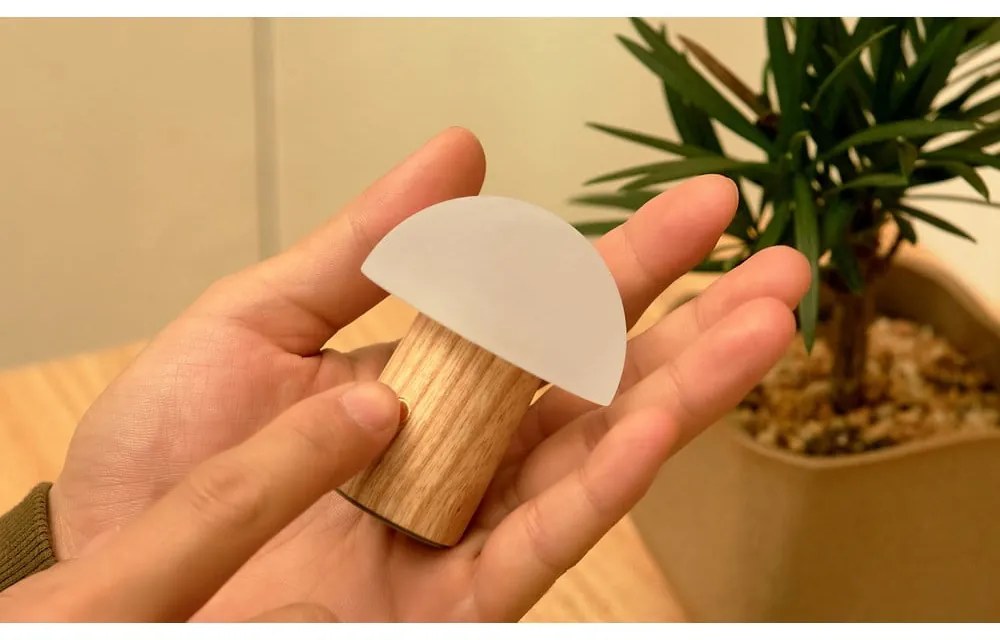 Natúr színű kőrisfa LED dimmelhető asztali lámpa (magasság 7 cm) Alice – Gingko