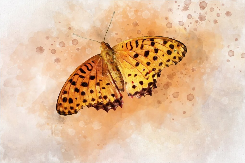 Kép - narancssárga pillangó, akvarell (90x60 cm)