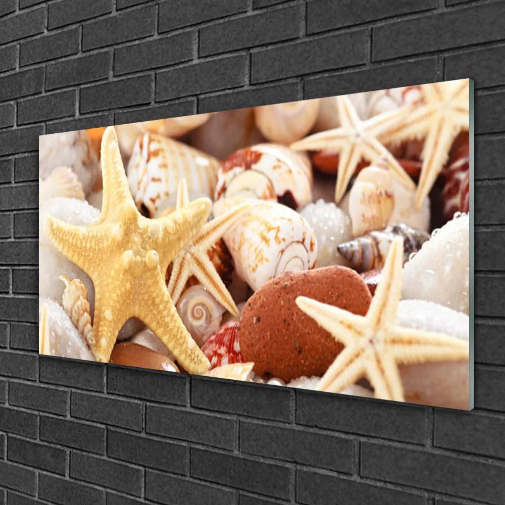 Modern üvegkép Starfish Shells Beach 100x50 cm