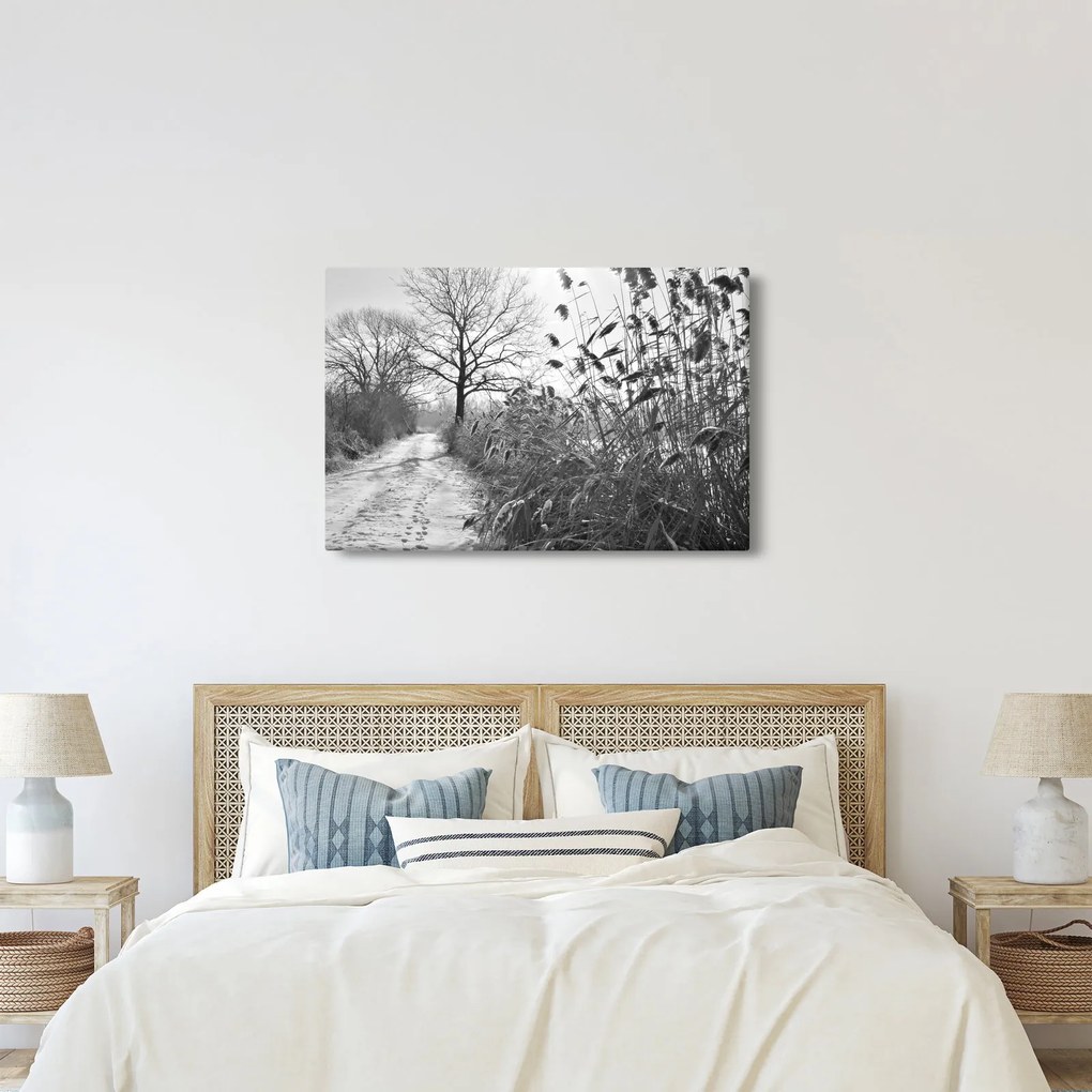 Kép - Mezők télen (90x60 cm)
