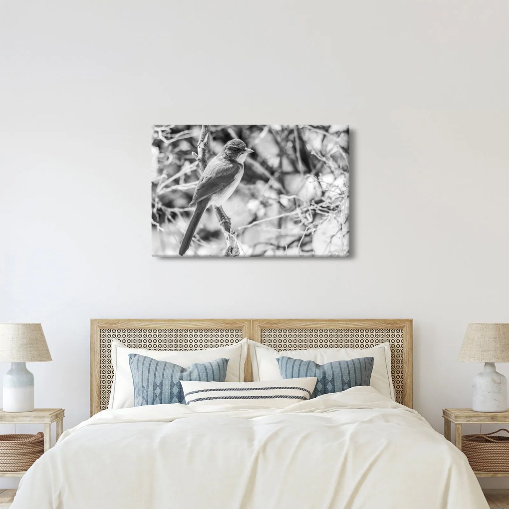 Kép - Kék madár télen (90x60 cm)