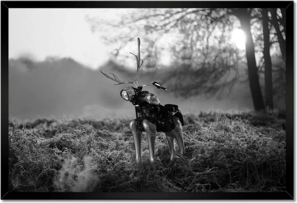 Poszterek keretben 60x40 Szarvas Modern művészet