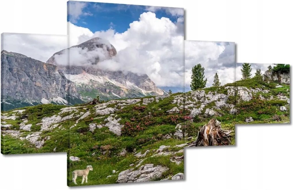 Képek 130x80 Bárány a hegyekben Kilátás