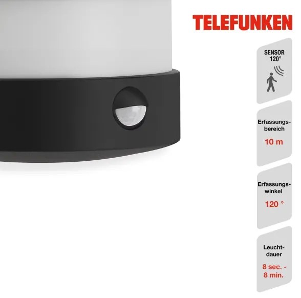 Telefunken 315505TF-LED Kültéri fali lámpa érzékelővel LED/12W/230V IP44