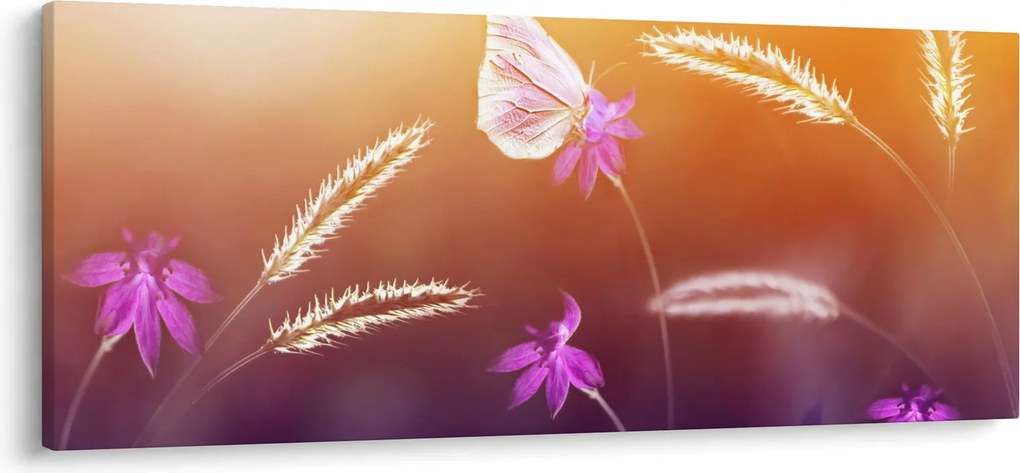 Kép - Rózsaszín pillangó (120x50 cm)