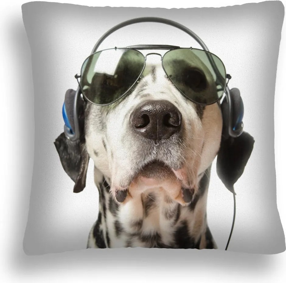 Kutya Párna 04 Fejhallgató Dj Szemüveg Pl 40X40