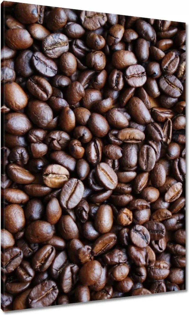 Vászonkép 70x100 Szemes kávé