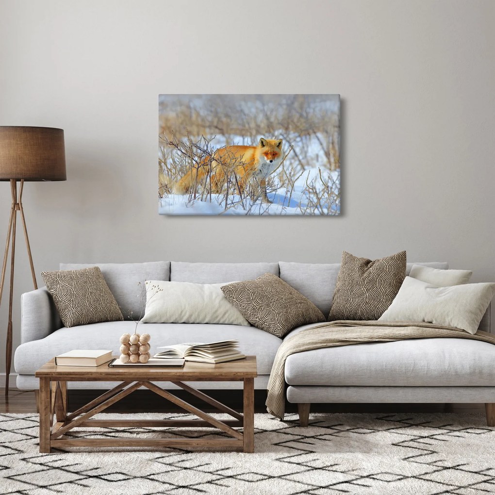 Kép - Róka (90x60 cm)
