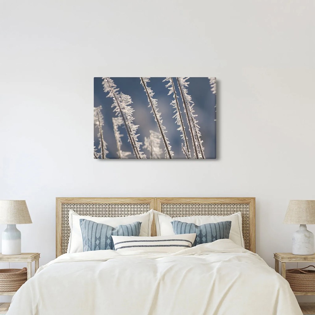 Kép - Fagy (90x60 cm)