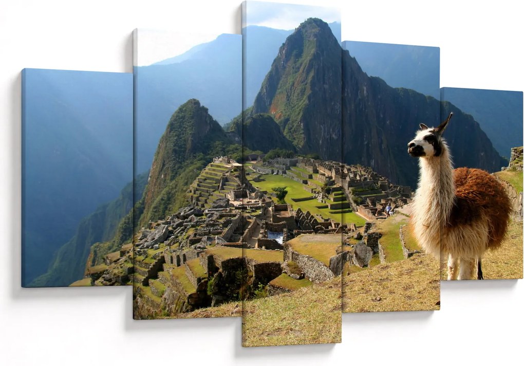 Kép - Láma és Machu Picchu (150x105 cm)
