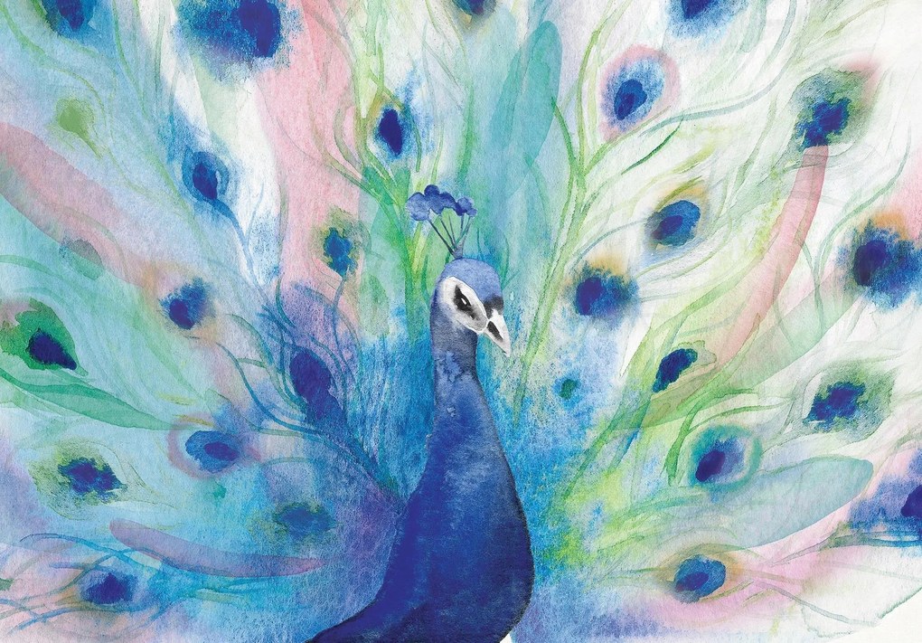 Fotótapéta páva madarak Páva madár Falfestmény Ragasztó 368 x 254