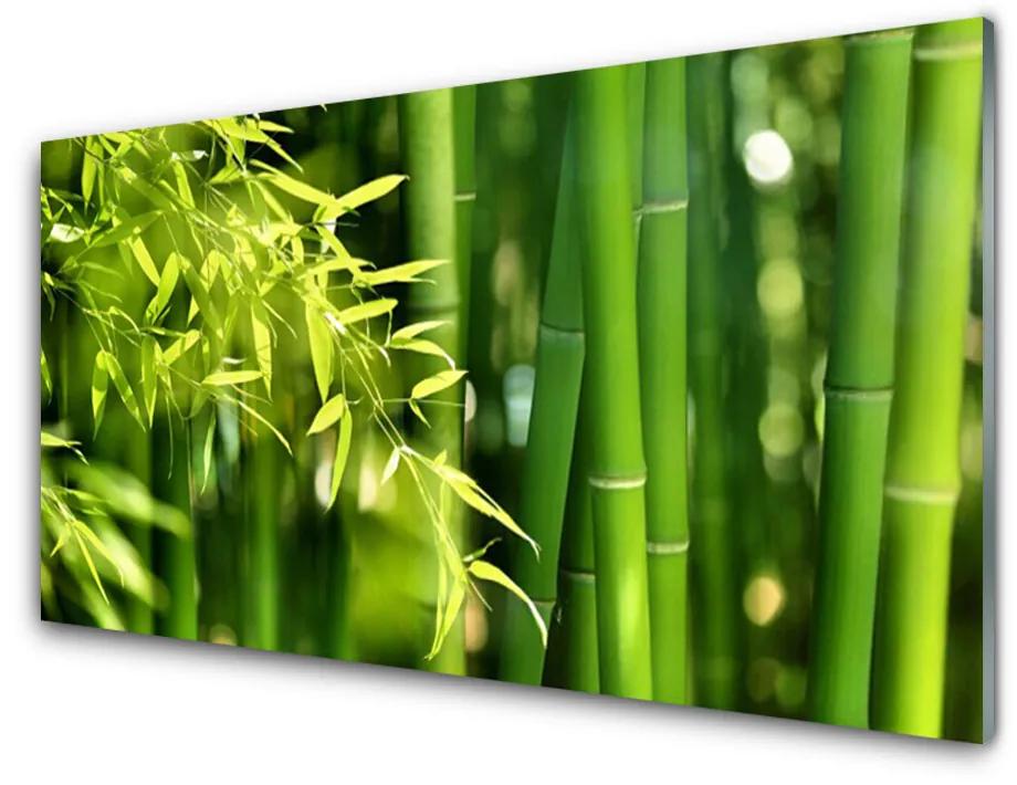 Üvegkép Bambusz levelek Plant 140x70 cm