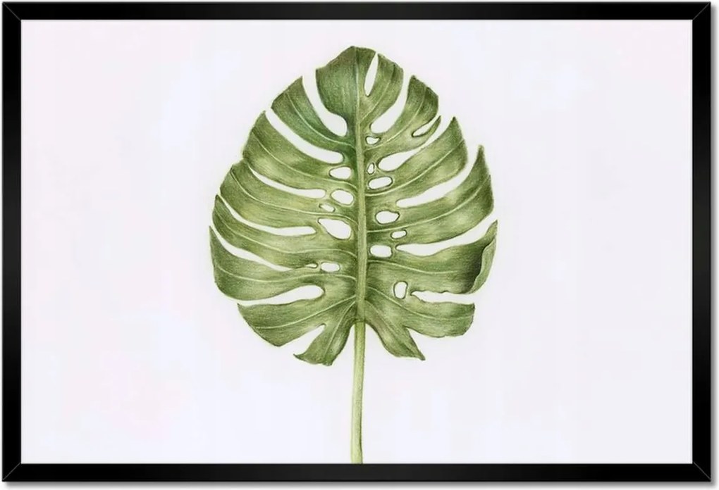 Poszter keretben 60x40 Monsera levél lyukas