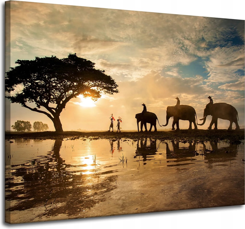 Vászonkép Emberek az elefántokon Naplemente Afrika Szavanna 100x80 cm