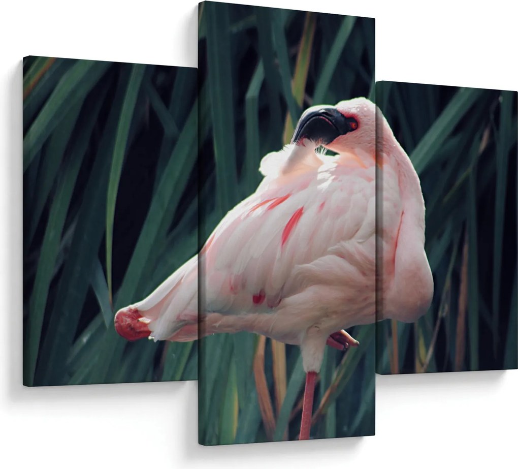 Kép - Flamingó (90x60 cm)