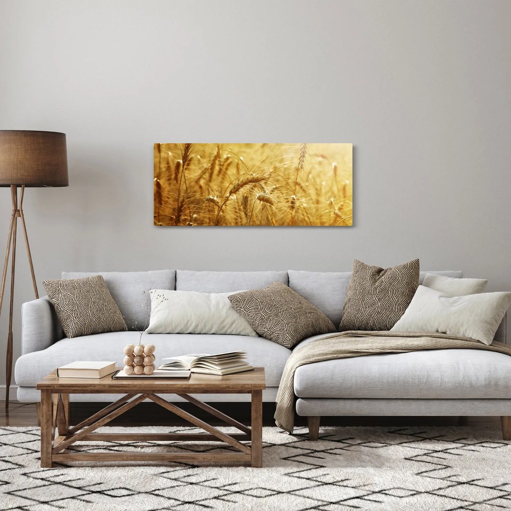 Kép - Gabonafül (120x50 cm)