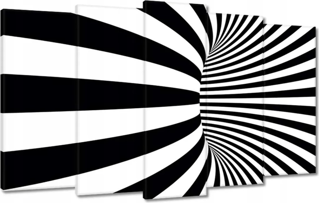 Festmények 100x60 Absztrakt fekete-fehér