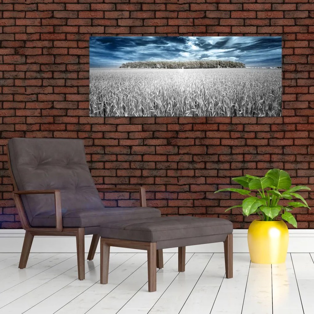 A mező képe (120x50 cm)