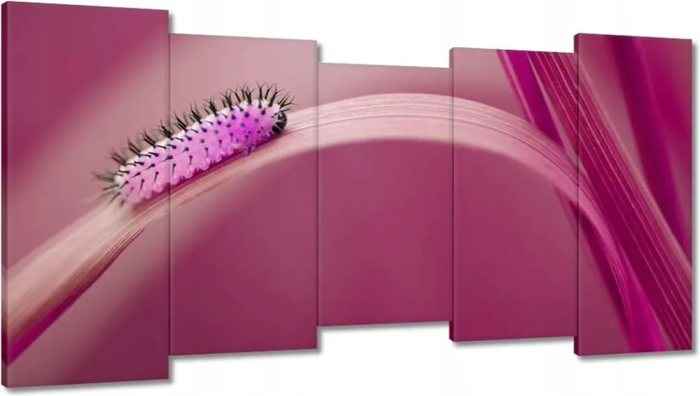 Vászonkép 150x80 Rózsaszín hernyó