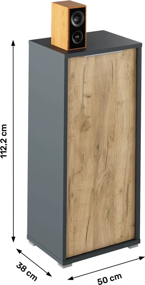 Szekrény, grafit/tölgyfa artisan, RIOMA NEW TYP 10