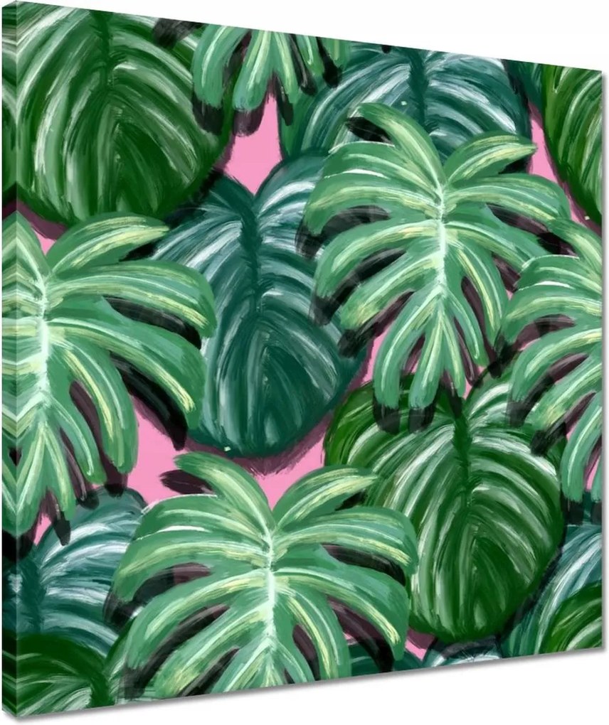 Vászonkép 40x40 Monstera Levelek levél
